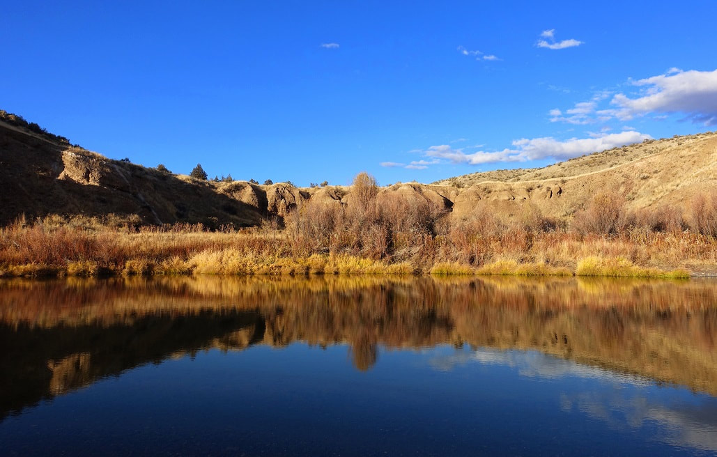Fall colors reflecting on the John Day River